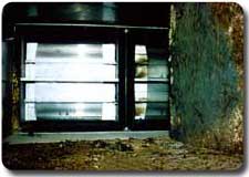 toxic mold symptoms