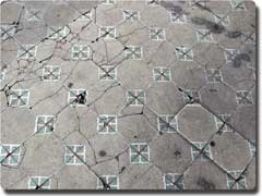 moldy tiles